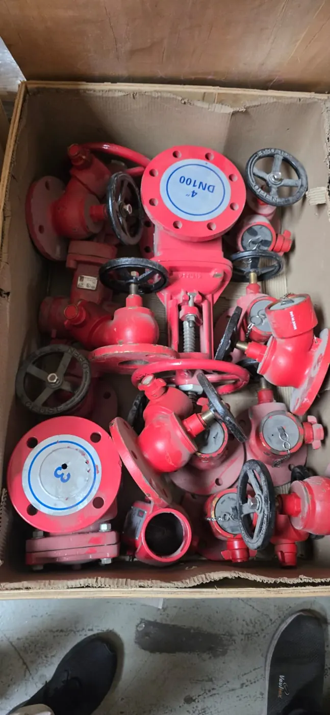 Gate and check valves